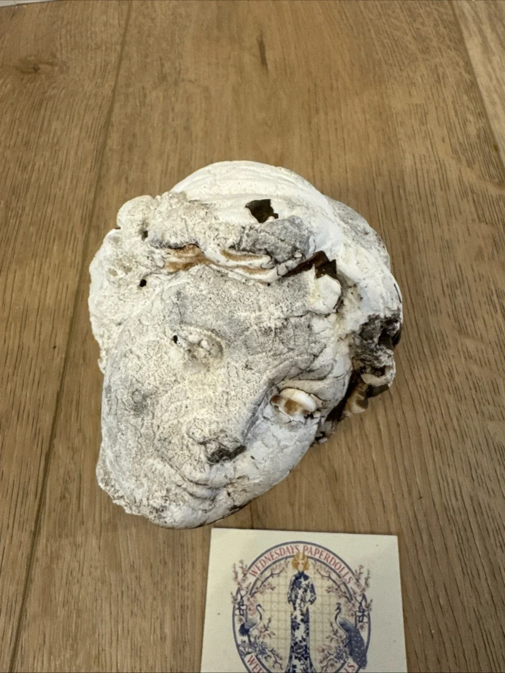 Vintage Plaster Cement Lady Bust Female Head Fragment - Picture 8 of 10